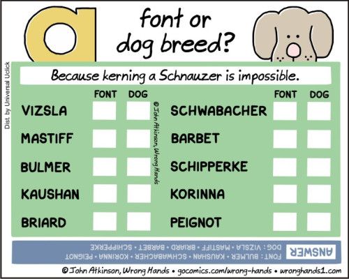 font-or-dog-breed.jpg